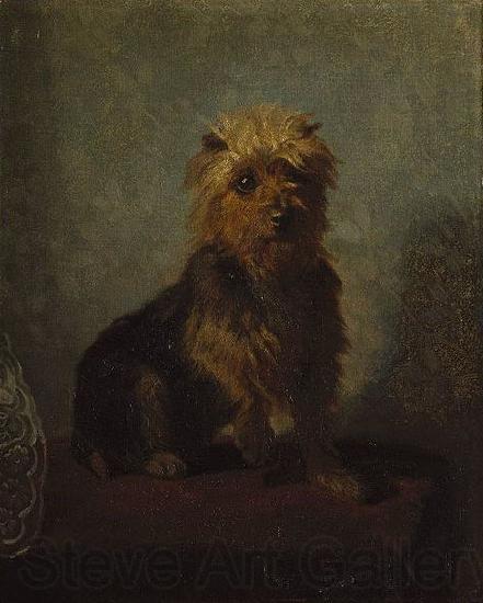 Abbott Handerson Thayer Chadwick's Dog Norge oil painting art